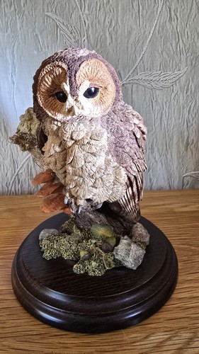Country artists tawny owl - artists, 'tawny