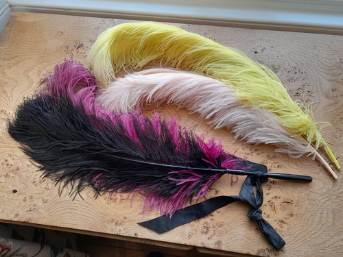 Genuine colourful ostrich - genuine,