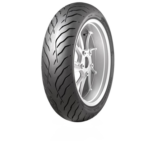 160 zr17 dunlop - zr17, (69w)