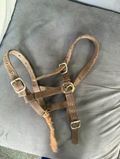 Foal headcollar - brown
