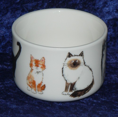 Cat teapot cats - , design