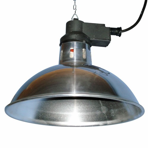 Intelec traditional infra red - traditional, infra-red
