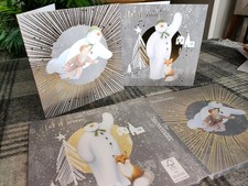 Danilo pack of 10 Raymond