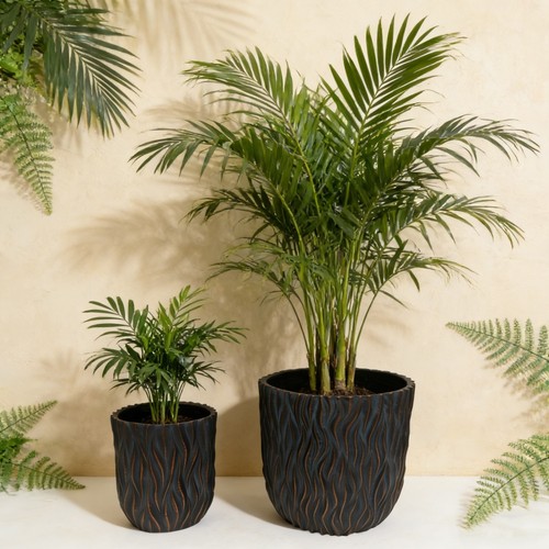 Round planters set 2 - round, of