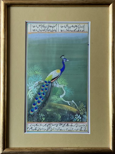 Indian mughal school peacock - indian,
