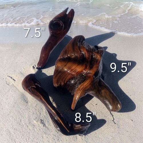 Driftwood art pieces pacific - driftwood,