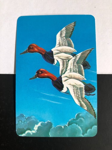 Vintage retro art bird swap - vintage,