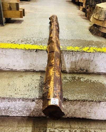 Snakewood aaa grade - aaa, log