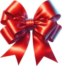 Christmas Red Coquette Bow