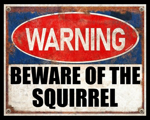 Warning beware the squirrel - beware,