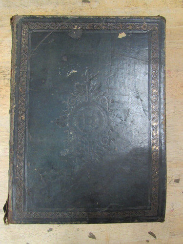 The illustrated family bible - the,