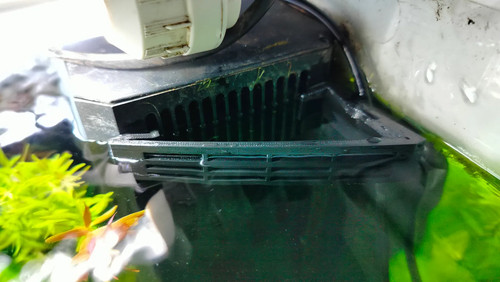 Juwel filter grid upgrade - juwel, to