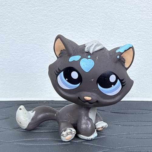 Kitten cat 815 - kitten,