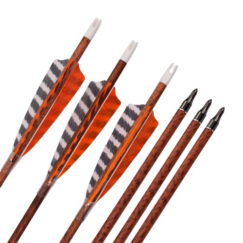 Feather carbon arrows - feather,