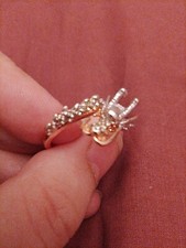 Purple Enamel Scales On Pink