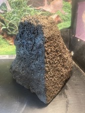 Vivarium Large Basking Rock