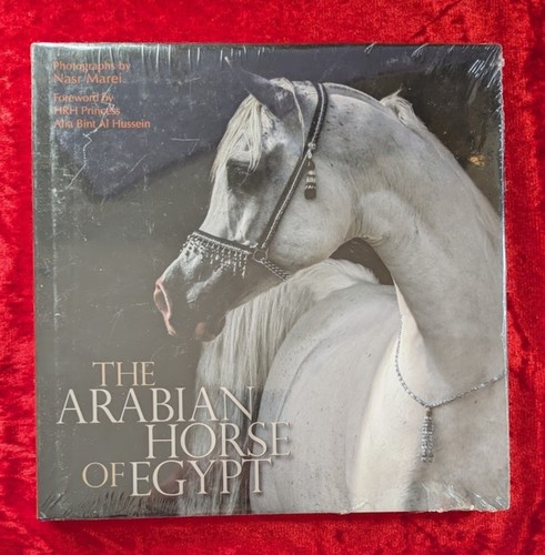 The arabian horse - arabian, of