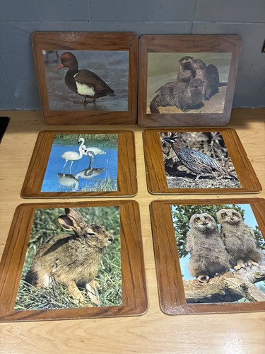 Vintage set wildlife - of, 6