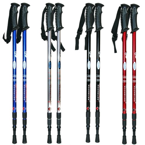 Pair nordic walking - of,