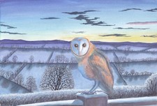 Barn Owl  Christmas cards unusual, single design,  blank inside 4 pack