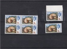 Fiji - Chambered Nautilus