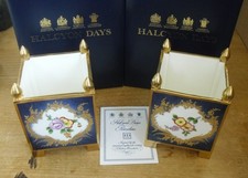 Boxed Pair Halcyon