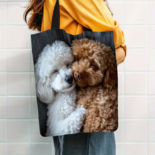Cute cavapoo/poodle  Canvas