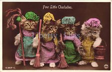 Cat Charladies Postcard -