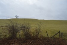 Photo 6x4 Grazing land