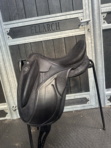 Beautiful malika dressage - 18,