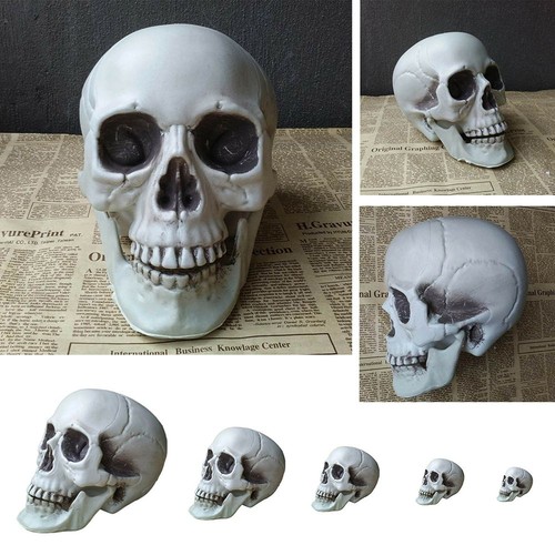 Decoration home decor skull - home,