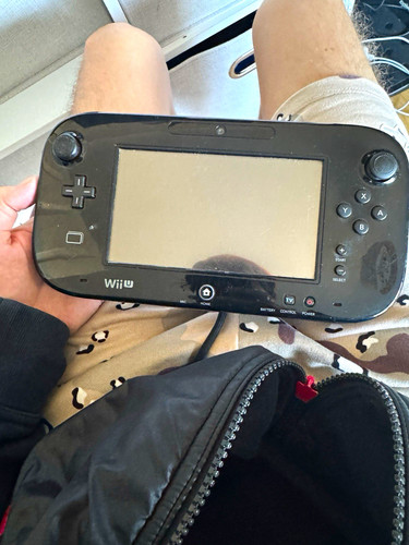 Nintendo wii gamepad only - wii, u