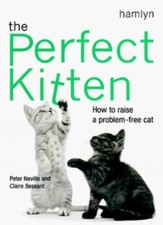 The Perfect Kitten: How to