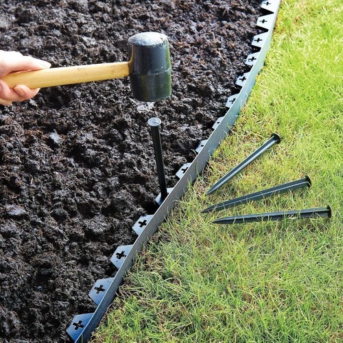 10m lawn edge border - border, with