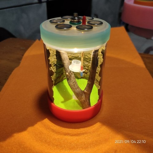 Eco friendly pet insect cage - eco-friendly,