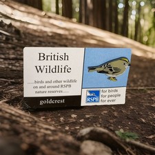 RSPB-Pin Badge British