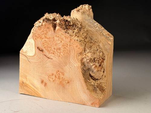 Amazing spalted live - live, burr