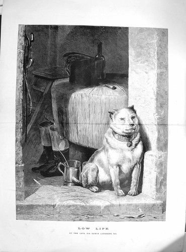 Original old antique print - old,