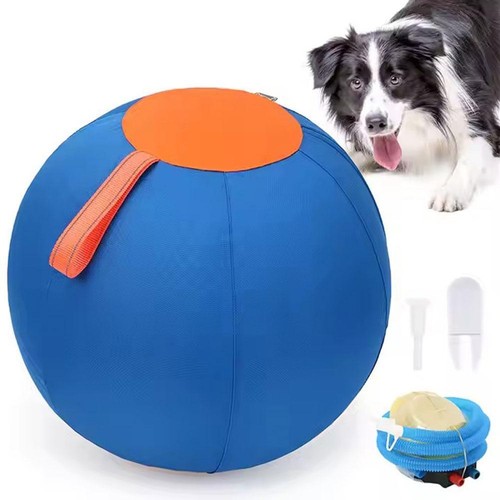 Dogs herding ball - dogs,