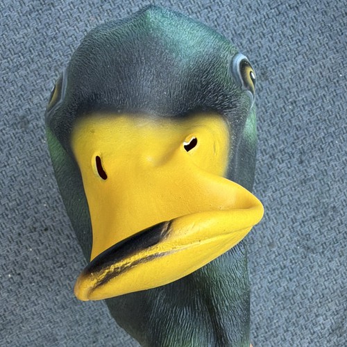 Duck head full - duck, face