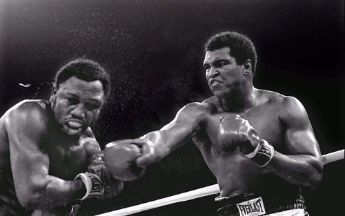 Muhammad ali boxing - muhammad,