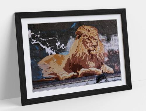 Laying lion graffiti home - laying,