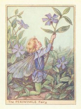 Periwinkle Fairy by Cicely