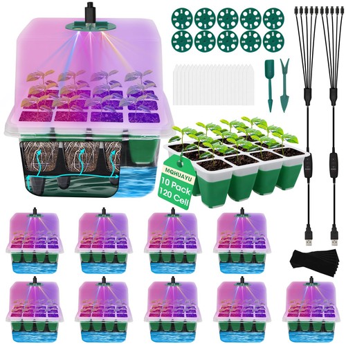 Self watering seed starter - seed,