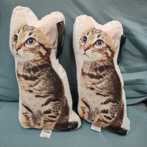 Set grey white cat - 2,