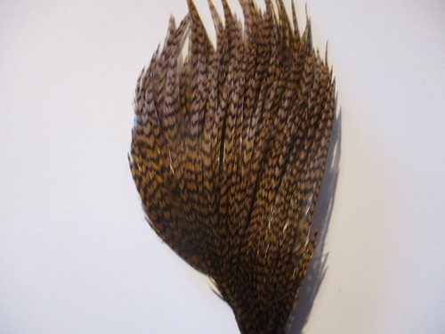 Genetic grizzle brown cock - genetic,