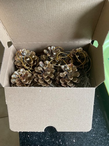 Real pine cones gold - real, hanging