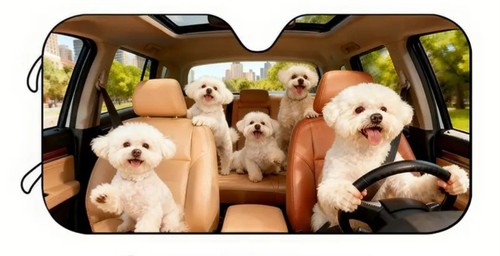 Car windscreen sun shade - sun,