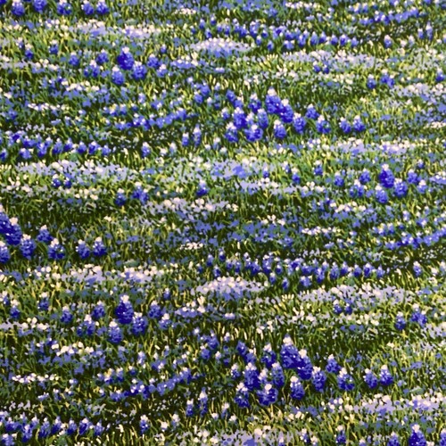Moda wildflowers blue and - moda-wildflowers,