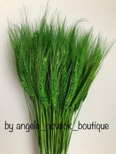 95 STEMS DRIED WHEAT/RYE